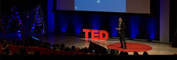 TED Kevin Allocca